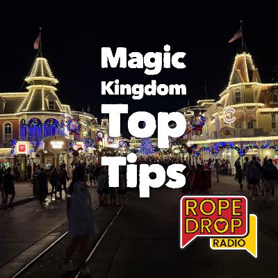 Disney Trip Magic: Pro Tips for Every Magic Kingdom Land
