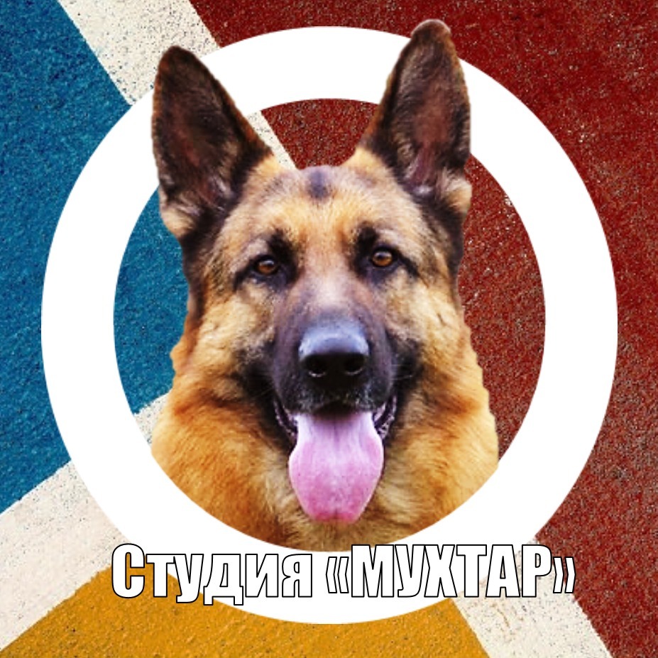Студия «МУХТАР»