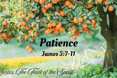 Patience