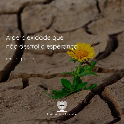 Habacuque #03 - A perplexidade que não destrói a esperança.