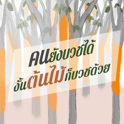 Ep.02 คนยังบวชได้ งั้นต้นไม้ก็บวชด้วย