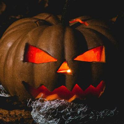 The Science of Fear | Replay