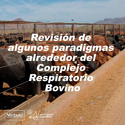 9. Revisión de algunos paradigmas alrededor del Complejo Respiratorio Bovino