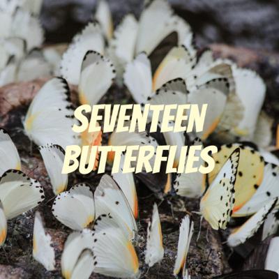 What’s with the name?