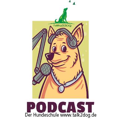 1 Hundeschule Sören Reinhardt talk2dog: Über Sören und seine Hundeschule