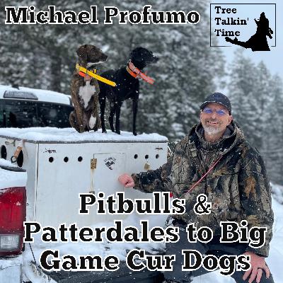 180. Pitbulls & Patterdales to Big Game Cur Dogs