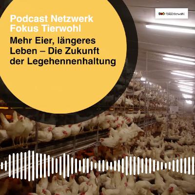 Mehr Eier, längeres Leben – Die Zukunft der Legehennenhaltung