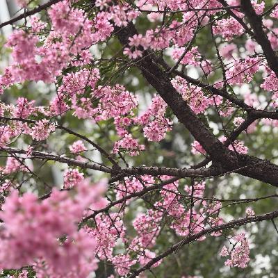 161. タダより高いものはない。