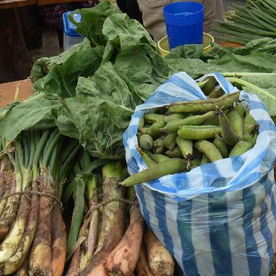 Especialista analisa afastamento do prefeito de Sorocaba e investigações da PF