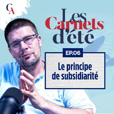 Carnets d'été : Épisode 6 - La subsidiarité, l'idée européenne pour détruire la France - P.Y. Rougeyron - # politique