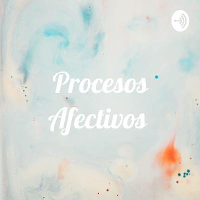 Procesos Afectivos