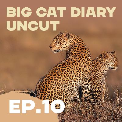 EPISODE 10: Big Cat Diary Uncut – 'The Truth About Lions' EPISODE 10: Big Cat Diary Uncut – 'The Truth About Lions'