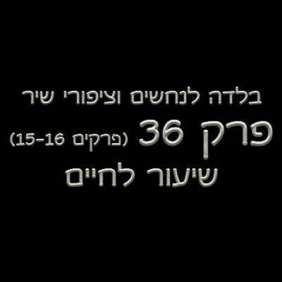 פרק 36 - בלדה לנחשים וציפורי שיר - (פרקים 15-16) - שיעור לחיים