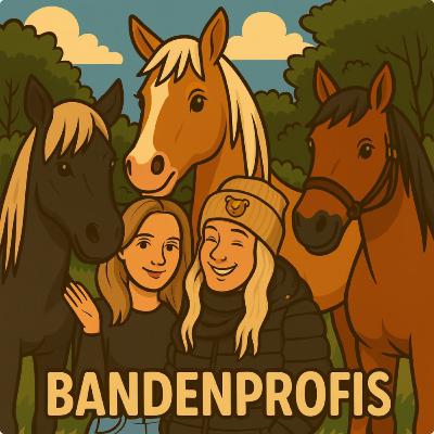 Folge 2: Eingedeckt und Abgedeckt