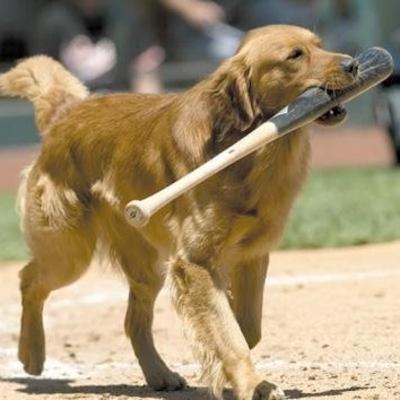 307 - 2020_04_08 - En Argentina 11 - El despertar espiritual y la creación del cuerpo de luz 307 - 2020_04_08 - En Argentina 11 - El despertar espiritual y la creación del cuerpo de luz