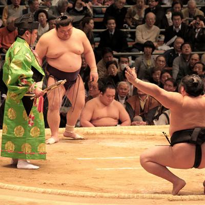 [DESTINATION #15] Sumo, tournois et entraînements