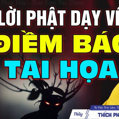 Lời Phật Dạy Rất Hay Về Những Điềm Báo Tai Họa - Thầy Thích Pháp Hòa
