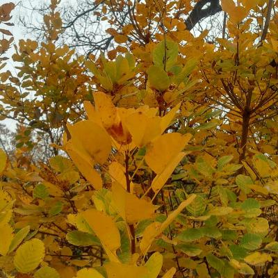 How to relax your body and mind in 20 minutes.