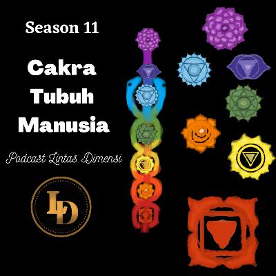 Episode Pilot Season 11
