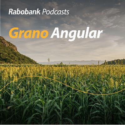 Desafíos del campo mexicano: precios, clima, el gusano barrenador y más Desafíos del campo mexicano: precios, clima, el gusano barrenador y más