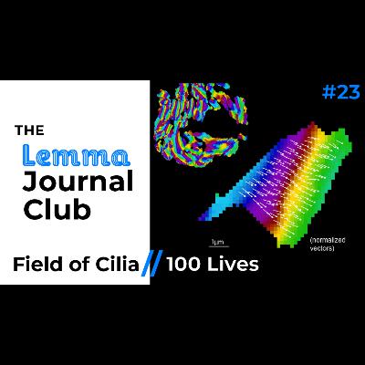 Field of Cilia // 100 Lives [23]