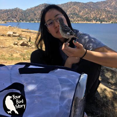 Kelli Hata's Haecceity Project Honors the Sacred Nature of Every Bird