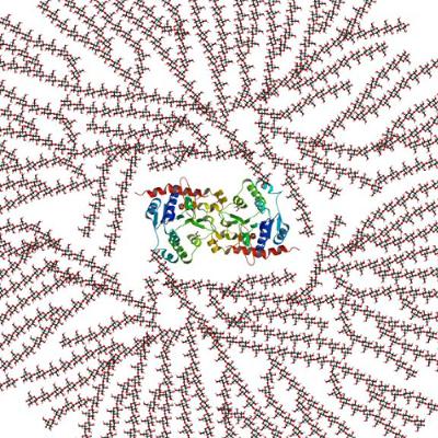Watts Doc #59: A Muscle Glycogen Paradox