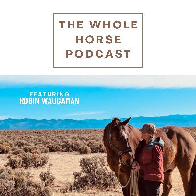 WH141 |  Regenerative ranching, an exploration in attunement, capacity and connection with Robin Waugaman