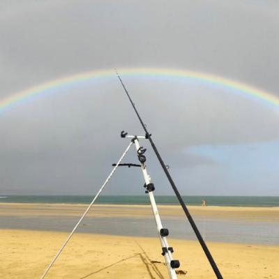 La mise à jour hebdo de la pêche à la ligne Irlandaise, 05 Sep 2025