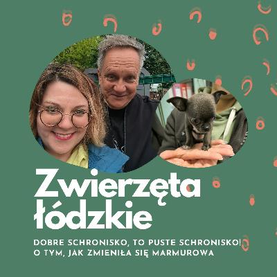 Dobre schronisko, to puste schronisko! | Albert Kurkowski | Zwierzęta łódzkie Dobre schronisko, to puste schronisko! | Albert Kurkowski | Zwierzęta łódzkie