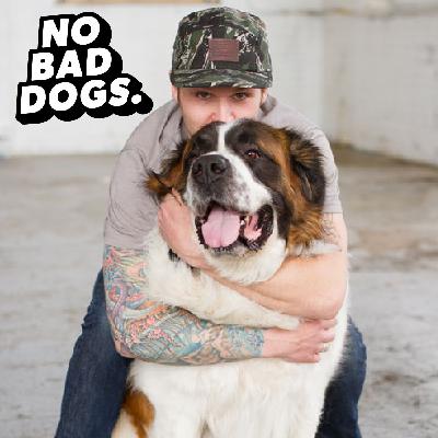 E343-The Guilt of Returning a Dog — And the Truth Behind It (Emotional)