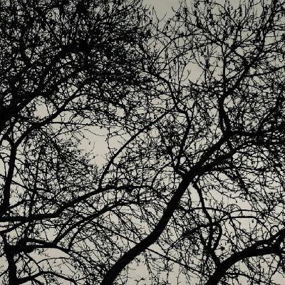 Late Night with Yorgos Dousos Late Night with Yorgos Dousos