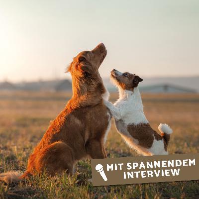 Heimtier Podcast - Kleine und große Rassen