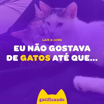 Do preconceito ao amor da minha vida. Como o gato muda nossa vida. Gatificando #46 (Lais & Luna)