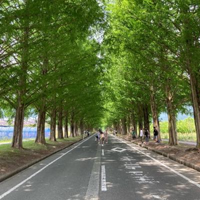 Ep.023 やりたいことを探すよりできることを増やそう Ep.023 やりたいことを探すよりできることを増やそう