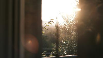 Блаженная Валентина Минская (Валентина Фёдоровна Сулковская) и её семья - супруг и родные