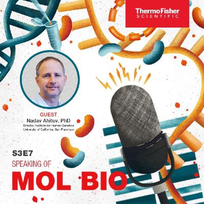 From bats to cancer – the power of gene regulation