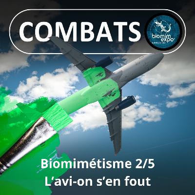 S05E20 Biomimétisme et bioinspiration 2/5 : Le cas de l'avion (Alain Renaudin) S05E20 Biomimétisme et bioinspiration 2/5 : Le cas de l'avion (Alain Renaudin)