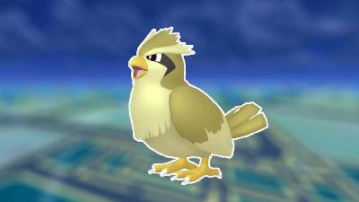 Pidgey | Stats, Moves, Evolution & Locations | The Pokemon Pokedex Podcast With Rhys & Felicity
