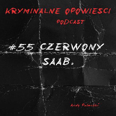 55. Sprawa Pernilli Hellgren i Engli Höglund | Szwecja