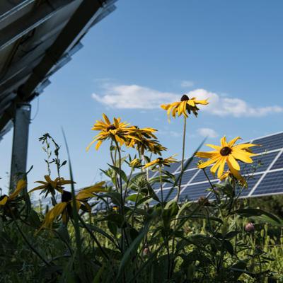 Solar Future - Dr. Jennifer Bousselot on Rooftop Agrivoltaics