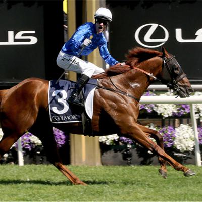 Punter's Preamble - 2026 Lightning Stakes Day