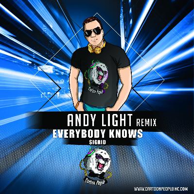 Sigrid - Everybody Knows (Andy Light Radio Remix)