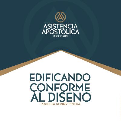 Discipulado Asistencia Apostólica - Sábado 20/julio/2024 Discipulado Asistencia Apostólica - Sábado 20/julio/2024