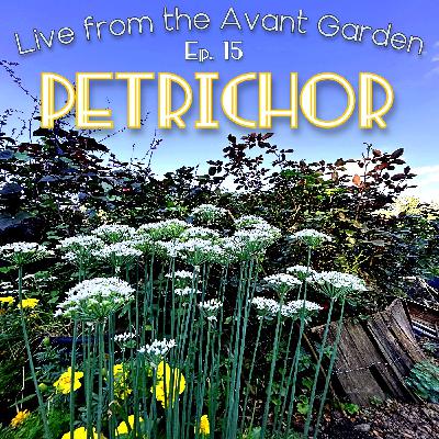 Petrichor - Episode 15