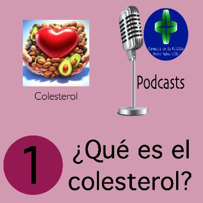 COLESTEROL 1 - ¿Qué es el colesterol?