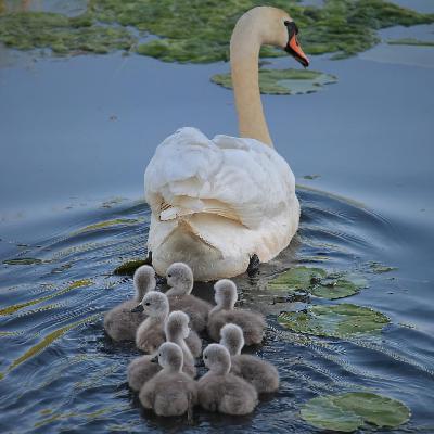 vol.30 在身份与自由之间:关于“做自己”的再思考 vol.30 在身份与自由之间:关于“做自己”的再思考