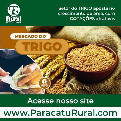 s10 47 வேதாத்திரி மகரிஷி பிரம்மச்சரியத்தை ஏன் போதிக்கவில்லை?