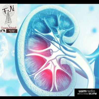 TEMA: Alimentación en enfermedad renal crónica INVITADA: Lic. Teresa Meza Hernández PROG: 224