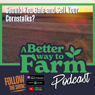 327: Should You Bale and Sell Your Cornstalks? 327: Should You Bale and Sell Your Cornstalks?